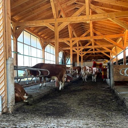 Landgasthof Blasini - Pfahlhof Zandt Bagian luar foto