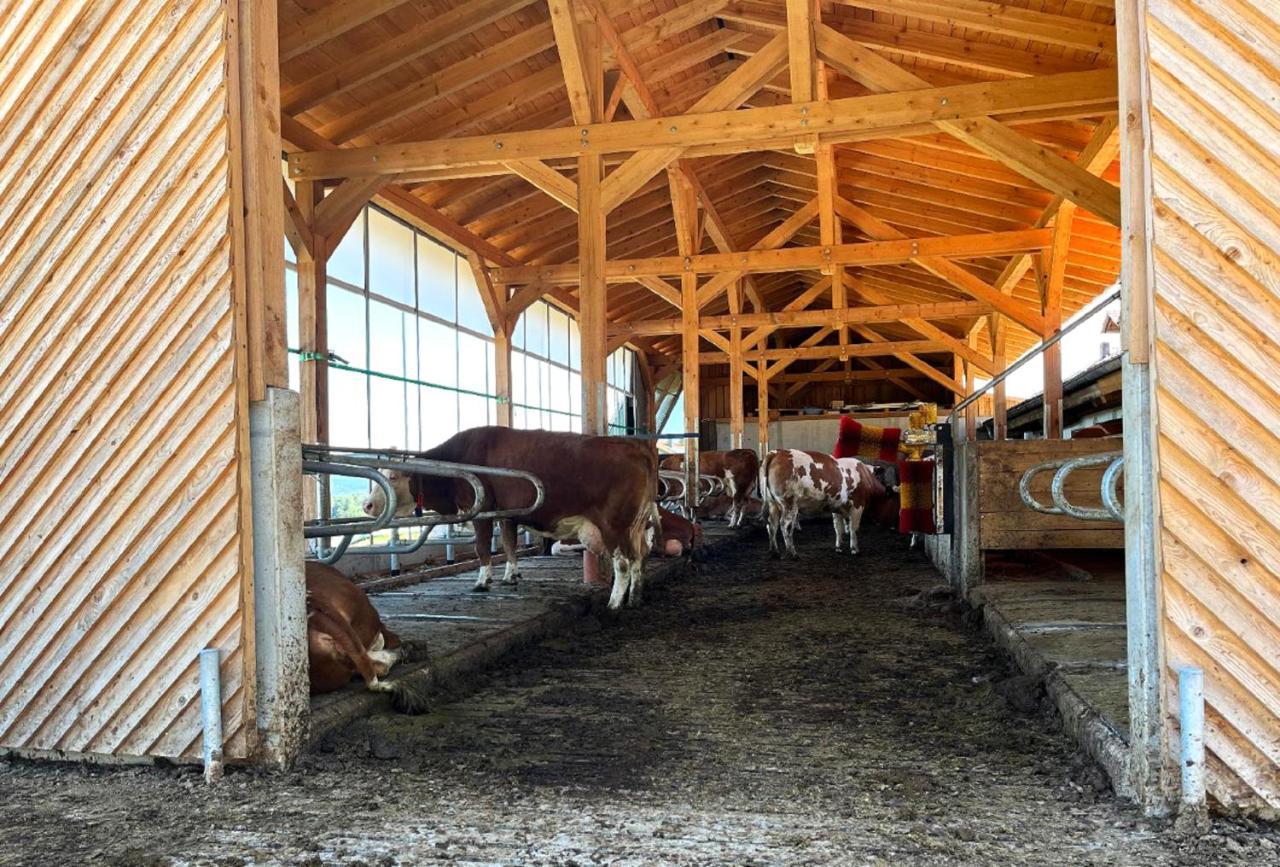 Landgasthof Blasini - Pfahlhof Zandt Bagian luar foto