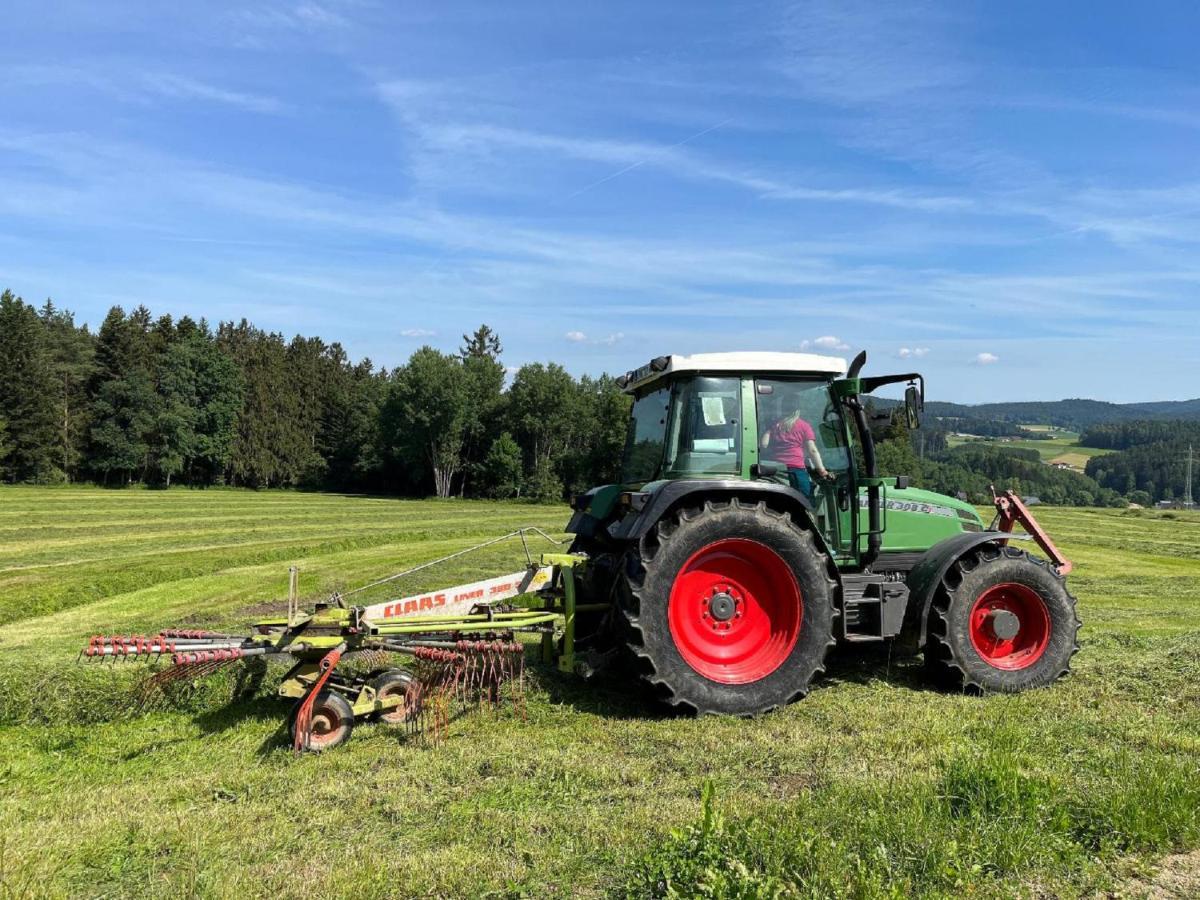 Landgasthof Blasini - Pfahlhof Zandt Bagian luar foto