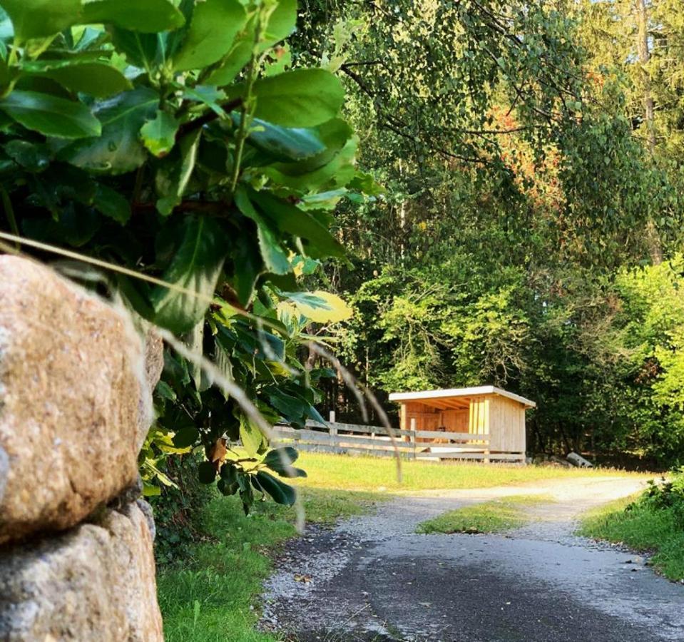 Landgasthof Blasini - Pfahlhof Zandt Bagian luar foto