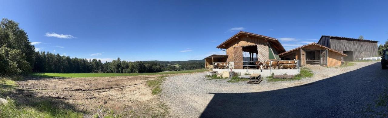 Landgasthof Blasini - Pfahlhof Zandt Bagian luar foto